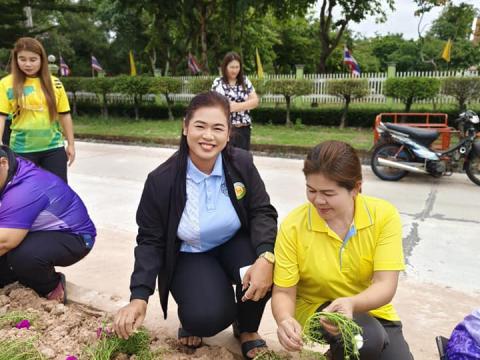 โครงการจัดระเบียบท้องถิ่น 1 อปท. 1 ถนนสวย ปลอดภัย