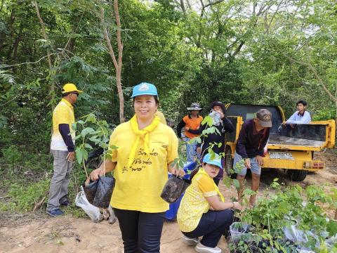 โครงการปลูกป่าเฉลิมพระเกียรติ