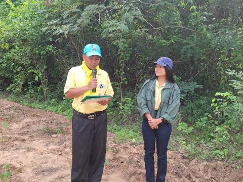 โครงการปลูกป่าเฉลิมพระเกียรติ