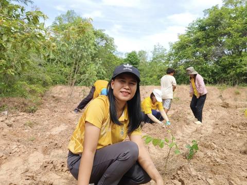 โครงการปลูกป่าเฉลิมพระเกียรติ