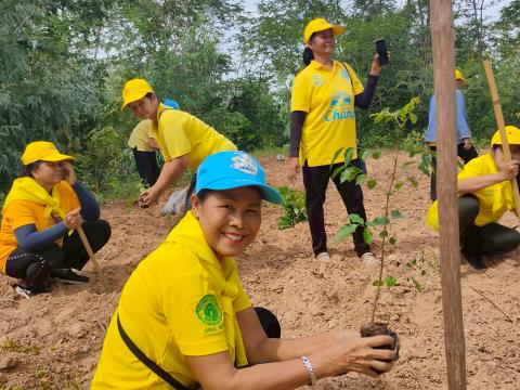 โครงการปลูกป่าเฉลิมพระเกียรติ