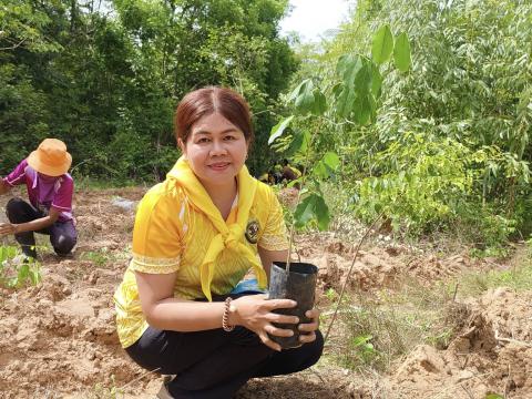 โครงการปลูกป่าเฉลิมพระเกียรติ