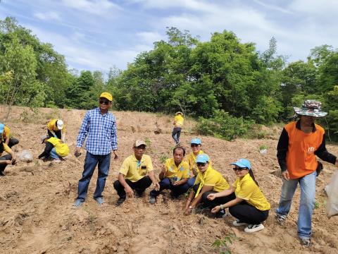 โครงการปลูกป่าเฉลิมพระเกียรติ