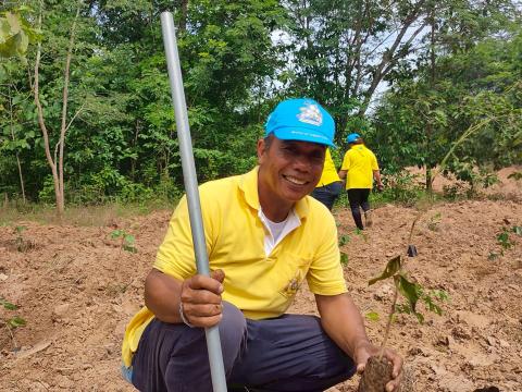 โครงการปลูกป่าเฉลิมพระเกียรติ
