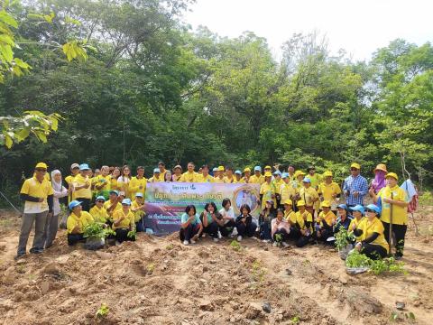 โครงการปลูกป่าเฉลิมพระเกียรติ