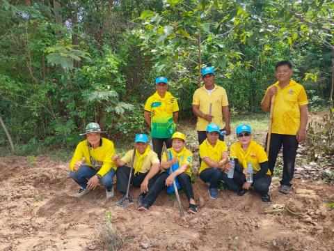 โครงการปลูกป่าเฉลิมพระเกียรติ