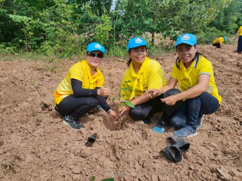 โครงการปลูกป่าเฉลิมพระเกียรติ