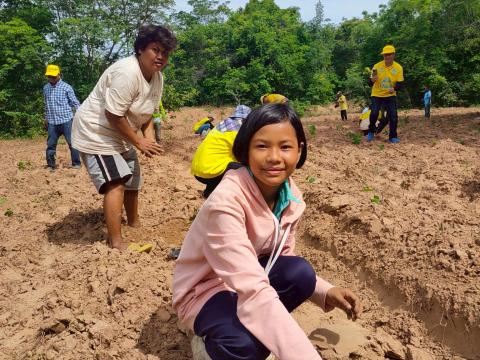 โครงการปลูกป่าเฉลิมพระเกียรติ
