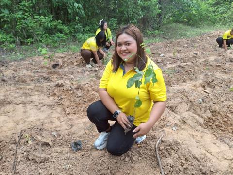 โครงการปลูกป่าเฉลิมพระเกียรติ