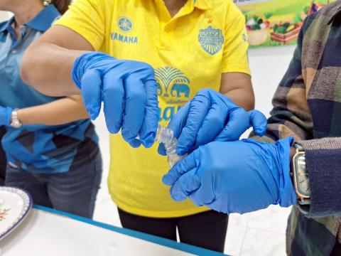 โครงการตลาดนัดสีเขียว