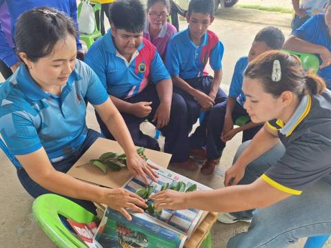 โครงการอนุรักษ์พันธุกรรมพืชเนื่องมาจากพระราชดำริฯ
